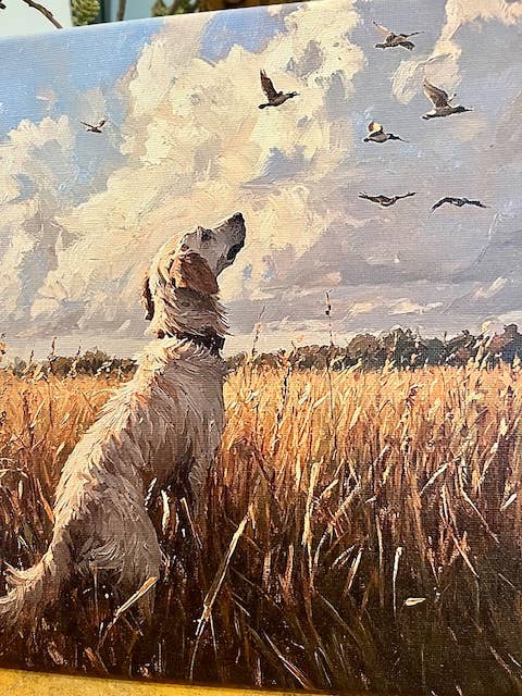 Hunting dog canvas art print, Father's Day gift, bird dog: 10x10