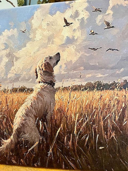 Hunting dog canvas art print, Father's Day gift, bird dog: 10x10