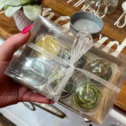 Succulent Tealight Candle Set