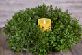 Boxwood Candle Ring 6.5in